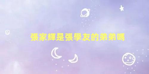 張家輝是張學友的弟弟嗎？張學友和張家輝是親兄弟